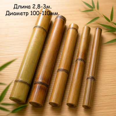 Бамбуковый ствол (обожженный) D 100-110мм. L 2,8-3м.